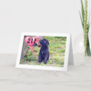 Search for black labrador puppy birthday cards Funny