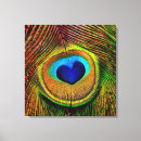Search for peacock feather canvas prints Peacocks