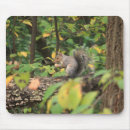 Search for acorn electronics Tree