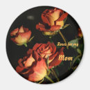 Search for yellow rose magnets Pretty