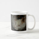 Search for calico mugs Cute cat