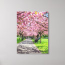 Search for cherry blossom canvas prints Nature