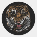 Search for tiger face stickers Feline