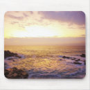Search for atlantic mouse mats Travel