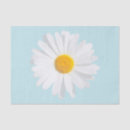 Search for white daisy tissue paper Petals