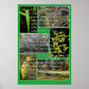 Search for religous posters Bible