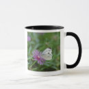 Search for butterfly image mugs Wildlife