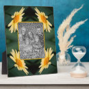 Search for daisies plaques Nature