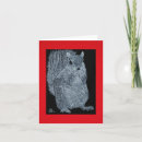 Search for squirrel drawing cards Squirrels