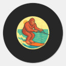 Search for water skiing stickers Beach