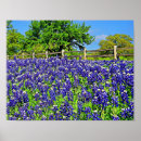 Search for bluebonnet art Country