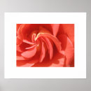 Search for swirled posters Peach