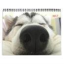 Search for husky office supplies Cute