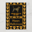 Search for beagle hound postcards Cute
