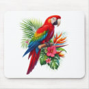 Search for macaw mouse mats Parrot