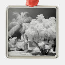 Search for white house christmas tree decorations Black and white