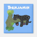 Search for black panther magnets Jaguar