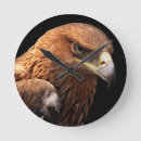 Search for brown beak Black