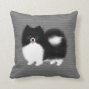 Search for fluffy cushions Pomeranian