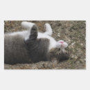 Search for kitty rectangle stickers Animals