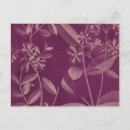 Search for radiant postcards Orchid