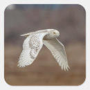 Search for winter beach stickers Bird