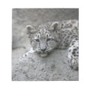 Search for zoo notepads Mammal