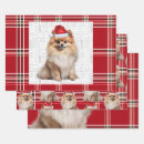 Search for pomeranian wrapping paper Pets
