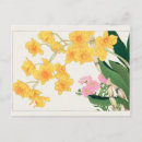 Search for dendrobium postcards Floral