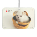 Search for funny car gifts Dog