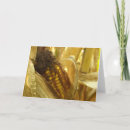 Search for yellow vegetable cards Corn