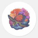 Search for reef turtle stickers Tortoise