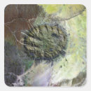 Search for elevation stickers Earth