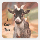 Search for funny goat stickers Cute