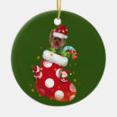 Search for yorkie christmas tree decorations Xmas
