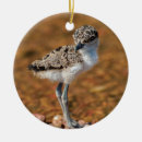 Search for chicks christmas tree decorations Bird