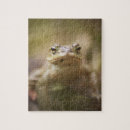 Search for toad puzzles Wildlife