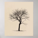 Search for gnarled Old
