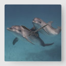 Search for dolphins art Grey