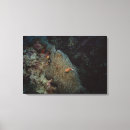 Search for seafood canvas prints Nature