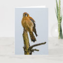 Search for northwest cards Wildlife
