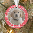 Search for shinies christmas tree decorations Silver