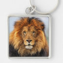 Search for safari jungle animal key rings Big cat