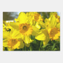 Search for daffodil wrapping paper Yellow