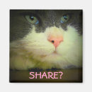 Search for sharing magnets Food