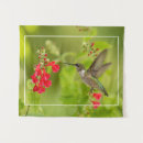 Search for salvia art Nature
