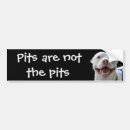 Search for pit bull bumper stickers Animal
