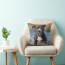 Search for staffy cushions Dog