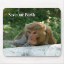 Search for small monkey mouse mats Animal