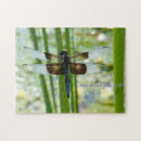Search for dragonfly puzzles Dragonflies
